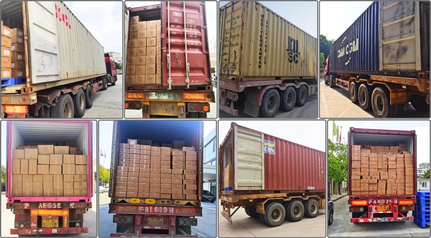 Full container load (FCL) dispatching from our China factory to ensure on-time delivery for global B2B clients.
