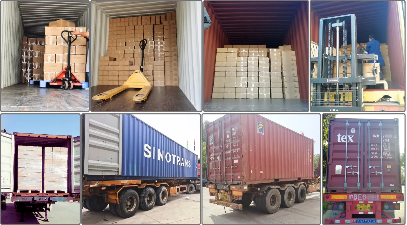 Full container load (FCL) dispatching from our China factory to ensure on-time delivery for global B2B clients.